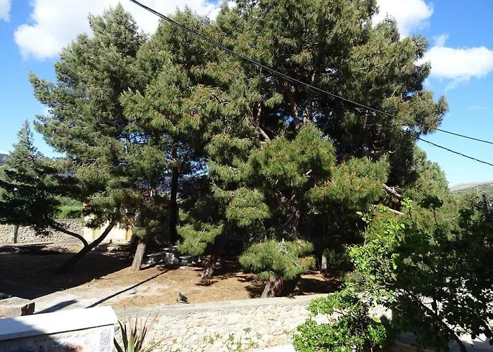 Tatil Evi Aspasia House *